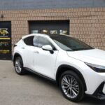 Window Tinting Stratford